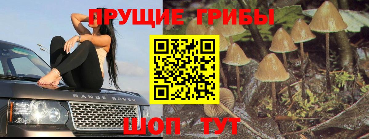 Набережные Челны  Галлюциногенные грибы GOLDEN TEACHER  Вход с VPN  Псилоцибиновые грибы Psilocybe 